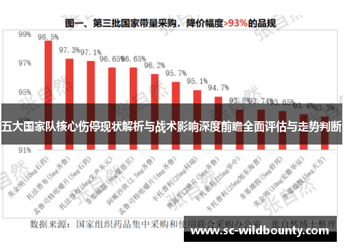 五大国家队核心伤停现状解析与战术影响深度前瞻全面评估与走势判断