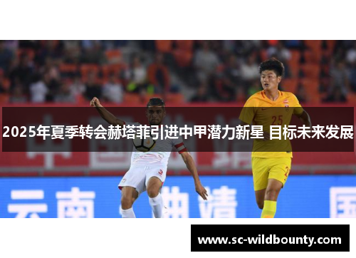 2025年夏季转会赫塔菲引进中甲潜力新星 目标未来发展