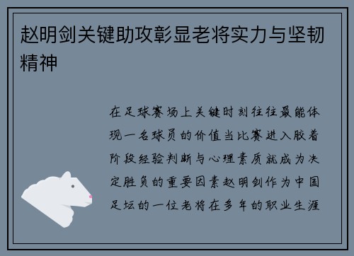 赵明剑关键助攻彰显老将实力与坚韧精神