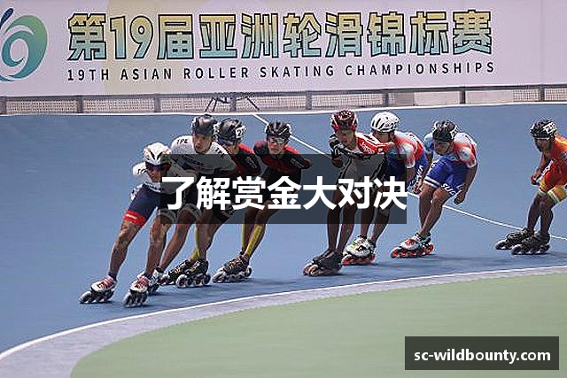 了解赏金大对决